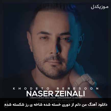 آهنگ ناصر زینعلی من دلم از دوری خسته شده شاخه ی رز شکسته