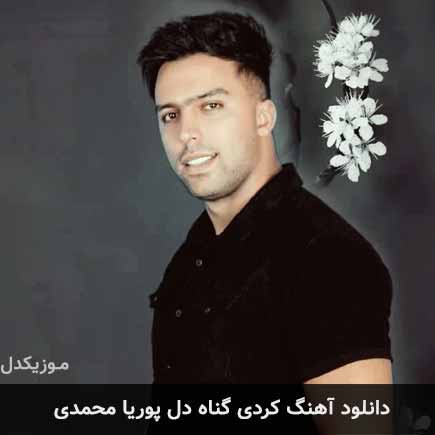 آهنگ پوریا محمدی گناه دل